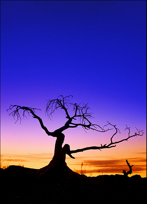 DESLAN135439 10355, by DesignPics - Landscapes and Nature, available in multiple sizes