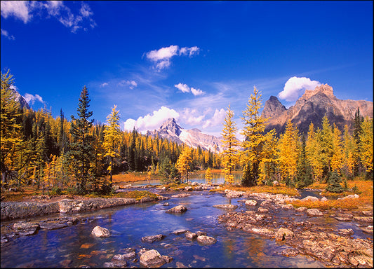 DESLAN135454 11155, by DesignPics - Landscapes and Nature, available in multiple sizes