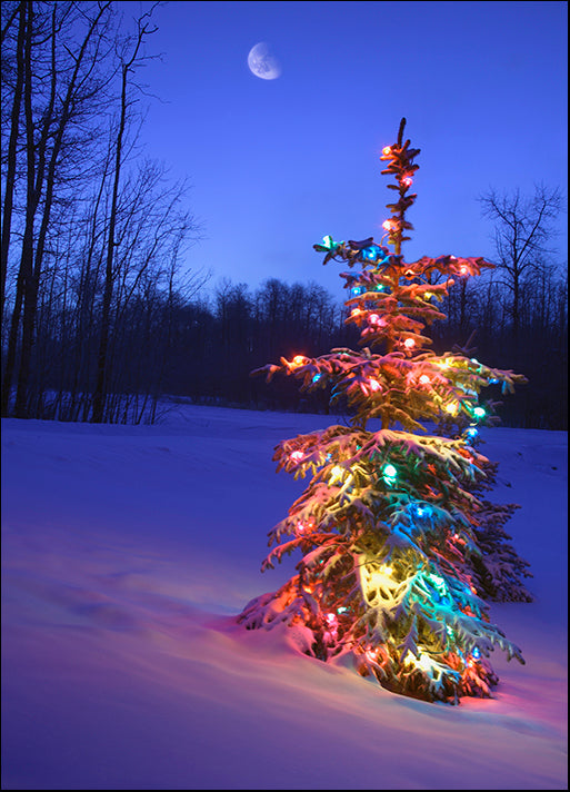 DESLAN135476 1765494, by DesignPics - Landscapes and Nature, available in multiple sizes