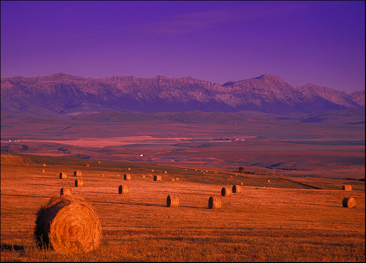 DESLAN135514 37623, by DesignPics - Landscapes and Nature, available in multiple sizes