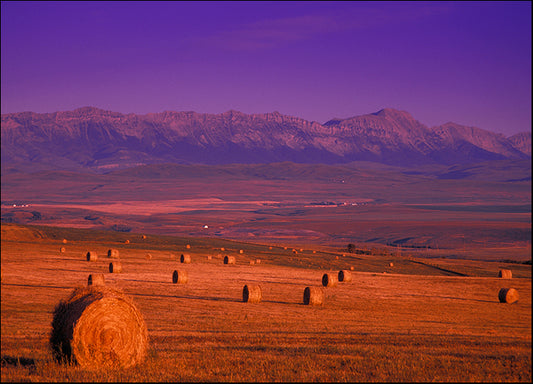 DESLAN135514 37623, by DesignPics - Landscapes and Nature, available in multiple sizes