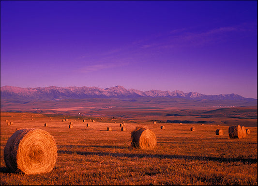 DESLAN135515 37624, by DesignPics - Landscapes and Nature, available in multiple sizes