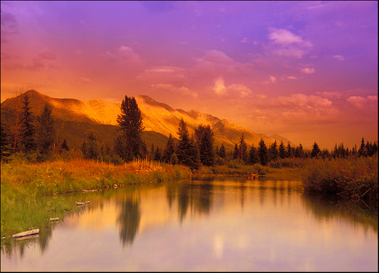 DESLAN135516 37627, by DesignPics - Landscapes and Nature, available in multiple sizes