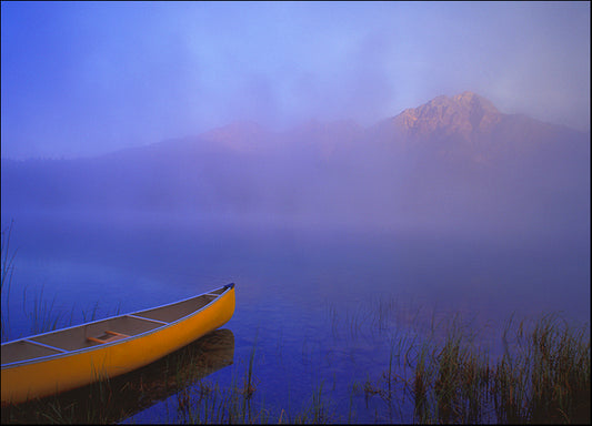 DESLAN135535 46576, by DesignPics - Landscapes and Nature, available in multiple sizes