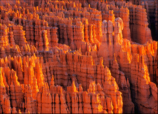 DESLAN135554 6157, by DesignPics - Landscapes and Nature, available in multiple sizes