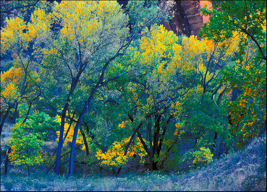 DESLAN135570 77996, by DesignPics - Landscapes and Nature, available in multiple sizes