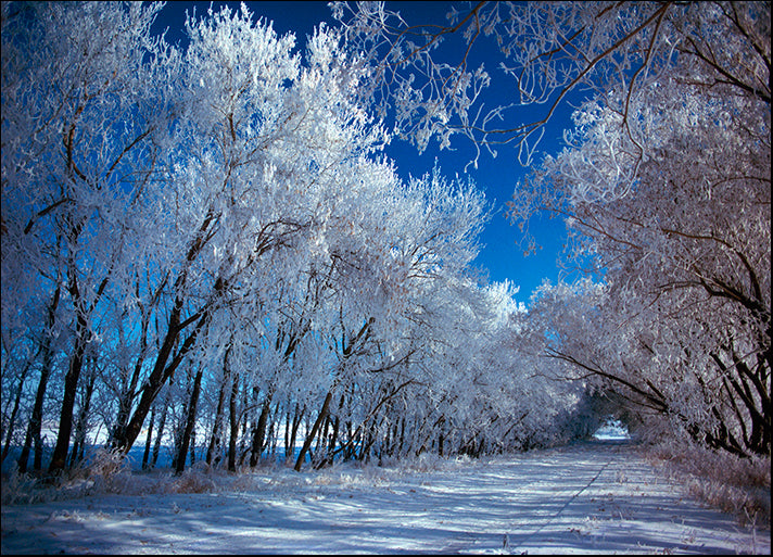 DESLAN135573 82, by DesignPics - Landscapes and Nature, available in multiple sizes