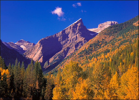 DESLAN135578 89428, by DesignPics - Landscapes and Nature, available in multiple sizes