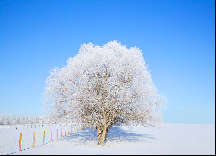 DESLAN136402 1765976, by DesignPics - Landscapes and Nature, available in multiple sizes