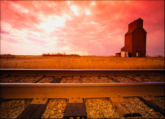 DESLAN136419 1770205, by DesignPics - Landscapes and Nature, available in multiple sizes