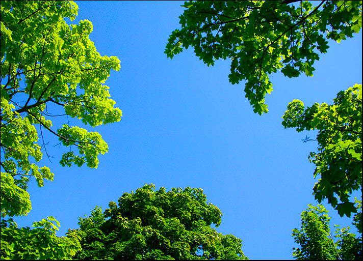DESLAN136422 1770309, by DesignPics - Landscapes and Nature, available in multiple sizes - Chamton