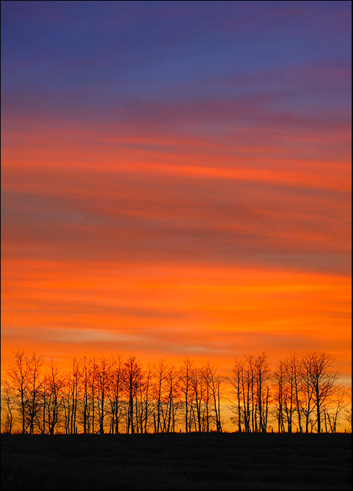 DESLAN136432 1770511, by DesignPics - Landscapes and Nature, available in multiple sizes