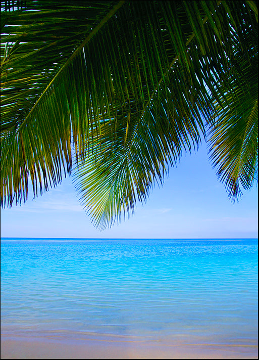 DESLAN136437 1771170, by DesignPics - Landscapes and Nature, available in multiple sizes