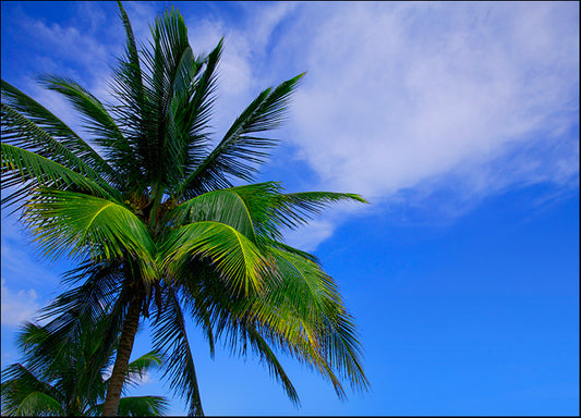 DESLAN136438 1771171, by DesignPics - Landscapes and Nature, available in multiple sizes