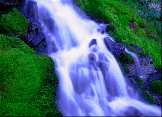 DESLAN136441 1771592, by DesignPics - Landscapes and Nature, available in multiple sizes