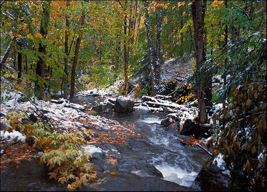 DESLAN136454 1773299, by DesignPics - Landscapes and Nature, available in multiple sizes - Chamton