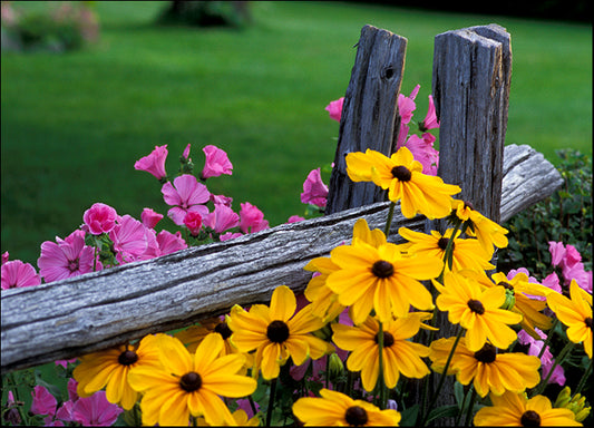 DESLAN136456 1773339, by DesignPics - Landscapes and Nature, available in multiple sizes