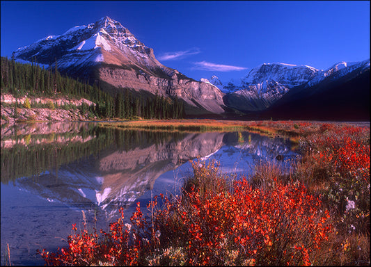 DESLAN136472, by DesignPics - Landscapes and Nature, available in multiple sizes