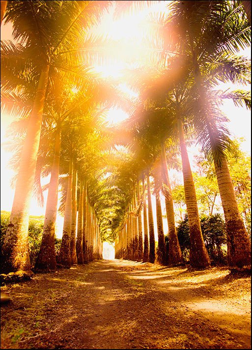 DESLAN136480 1774602, by DesignPics - Landscapes and Nature, available in multiple sizes