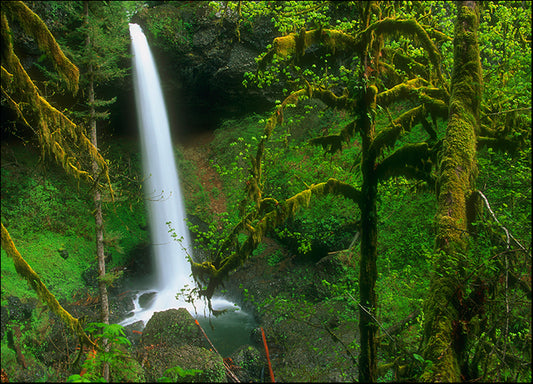 DESLAN136482 1774876, by DesignPics - Landscapes and Nature, available in multiple sizes