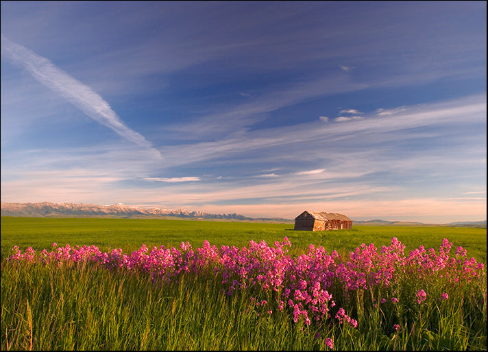 DESLAN136493 1776635, by DesignPics - Landscapes and Nature, available in multiple sizes