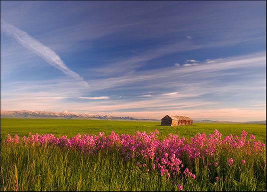 DESLAN136493 1776635, by DesignPics - Landscapes and Nature, available in multiple sizes