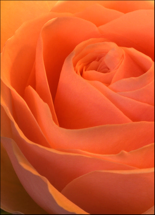 DESLAN136495 1776789, by DesignPics - Landscapes and Nature, available in multiple sizes