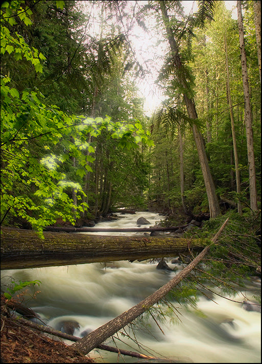 DESLAN136517 1777932, by DesignPics - Landscapes and Nature, available in multiple sizes