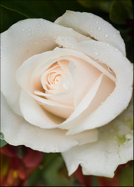 DESLAN136519 1778224, by DesignPics - Landscapes and Nature, available in multiple sizes