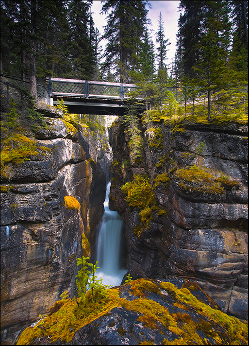 DESLAN136540 1779403, by DesignPics - Landscapes and Nature, available in multiple sizes