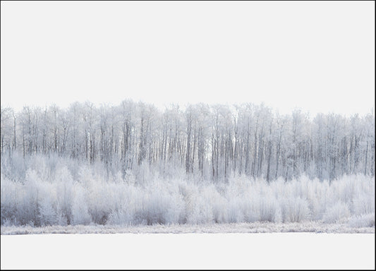 DESLAN136819 1781852, by DesignPics - Landscapes and Nature, available in multiple sizes