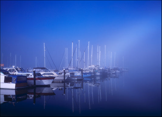 DESLAN136823 1782450, by DesignPics - Landscapes and Nature, available in multiple sizes