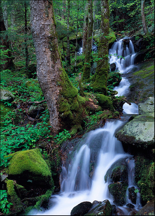 DESLAN136832 1782668, by DesignPics - Landscapes and Nature, available in multiple sizes