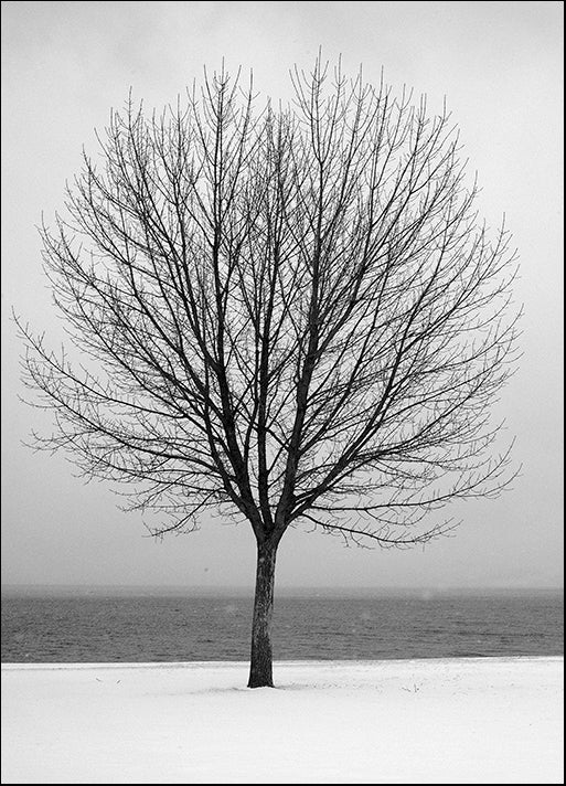 DESLAN136835 1782901, by DesignPics - Landscapes and Nature, available in multiple sizes