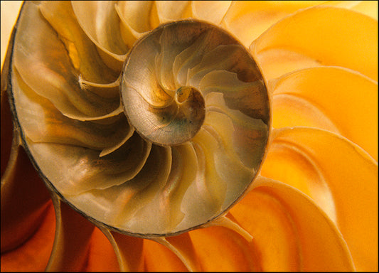 DESLAN136837 1782922, by DesignPics - Landscapes and Nature, available in multiple sizes