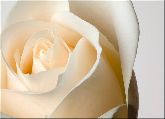 DESLAN136853 1783394, by DesignPics - Landscapes and Nature, available in multiple sizes