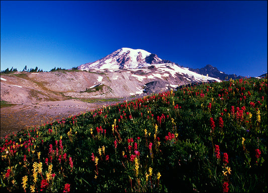 DESLAN136862 1783769, by DesignPics - Landscapes and Nature, available in multiple sizes