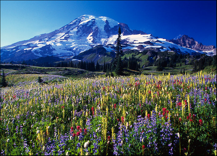 DESLAN136880 1783831, by DesignPics - Landscapes and Nature, available in multiple sizes