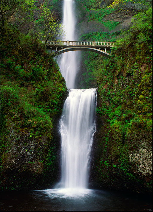 DESLAN136900 1784061, by DesignPics - Landscapes and Nature, available in multiple sizes