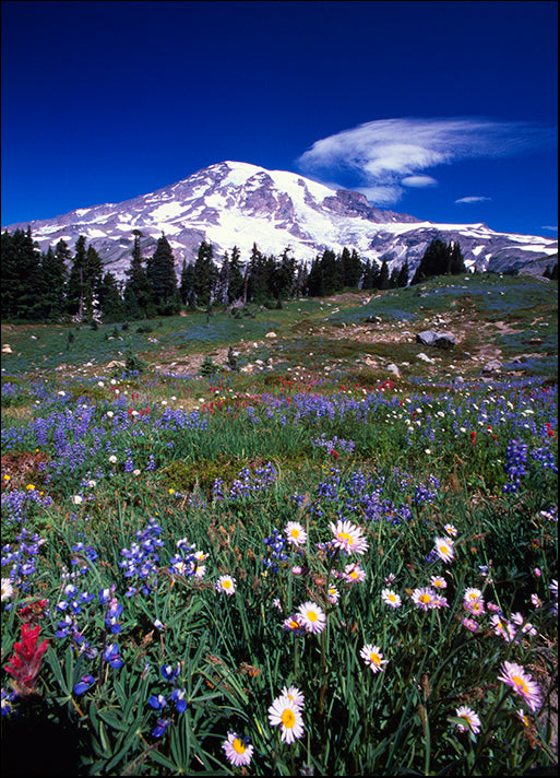 DESLAN136922 1784669, by DesignPics - Landscapes and Nature, available in multiple sizes