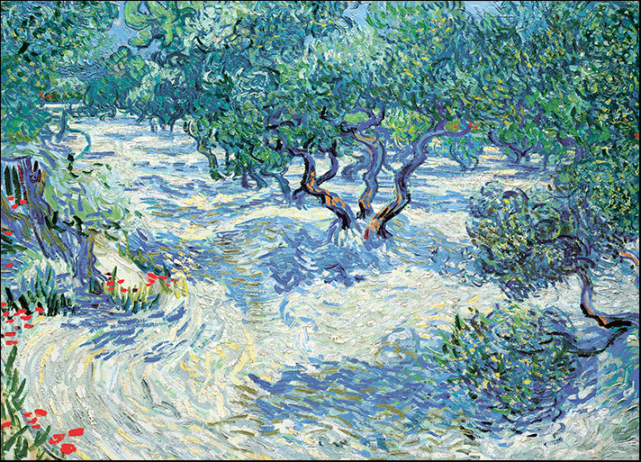 DP-112584 Olive Orchard, by Vincent Van Gogh available in multiple sizes