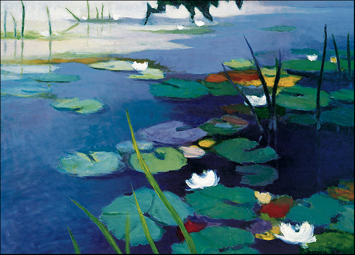 DP-113003 Water Lilies, by Tadashi Asoma available in multiple sizes