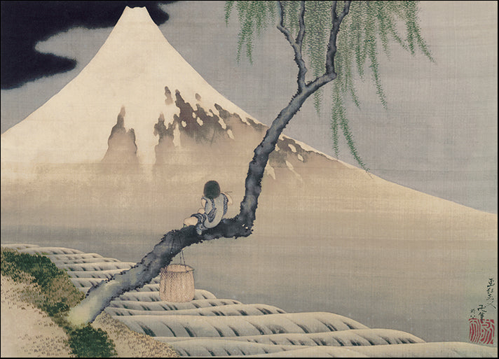DP-118907 Boy Viewing Mount Fuji, 1839, by Katsushika Hokusai available in multiple sizes