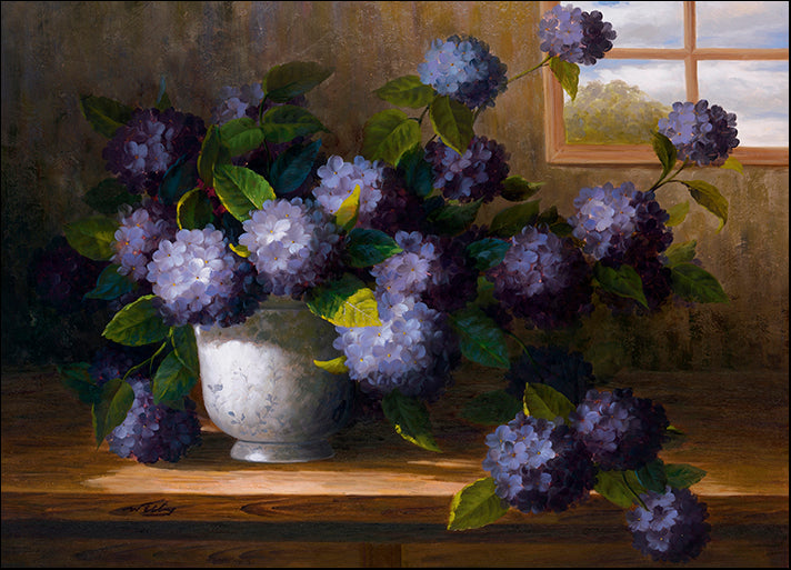 DP-119544 Hydrangea Blossoms II, by Welby available in multiple sizes
