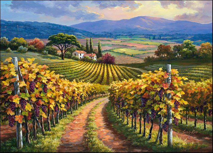 DP-128775 Vineyard Hill I, by Sung Kim, available in multiple sizes