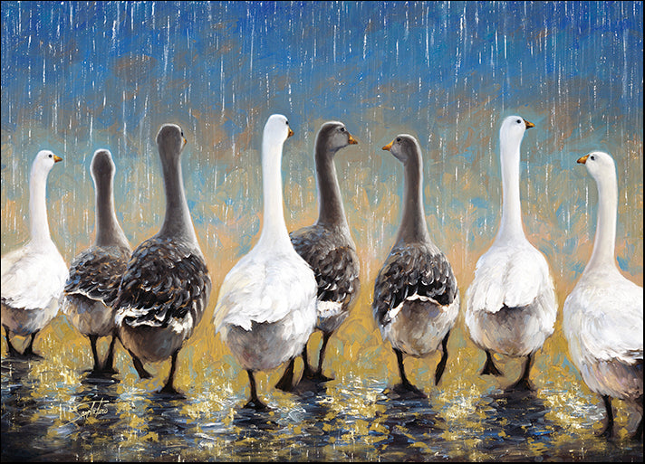 DP-130327 Waddling in the Rain, by Joe Sambataro, available in multiple sizes