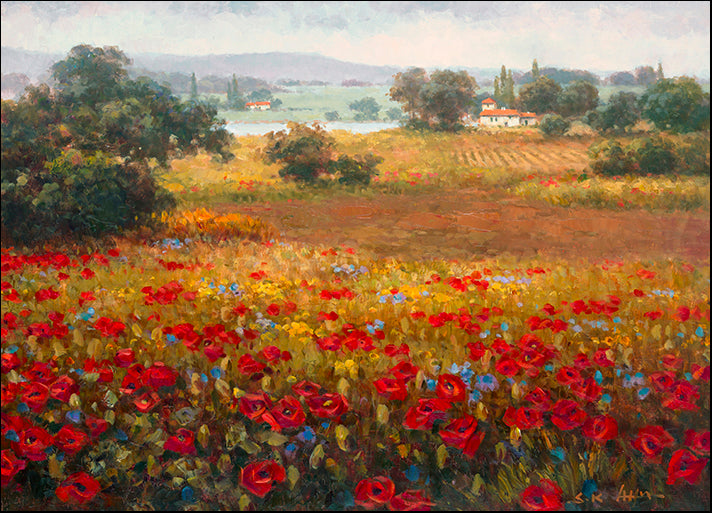 DP-131945 Italian Poppy Vista I, by Seung Koo Ahn, available in multiple sizes