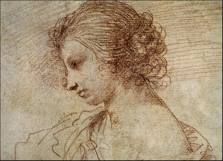 DP-19141 Profile of a Woman, by Guercino available in multiple sizes