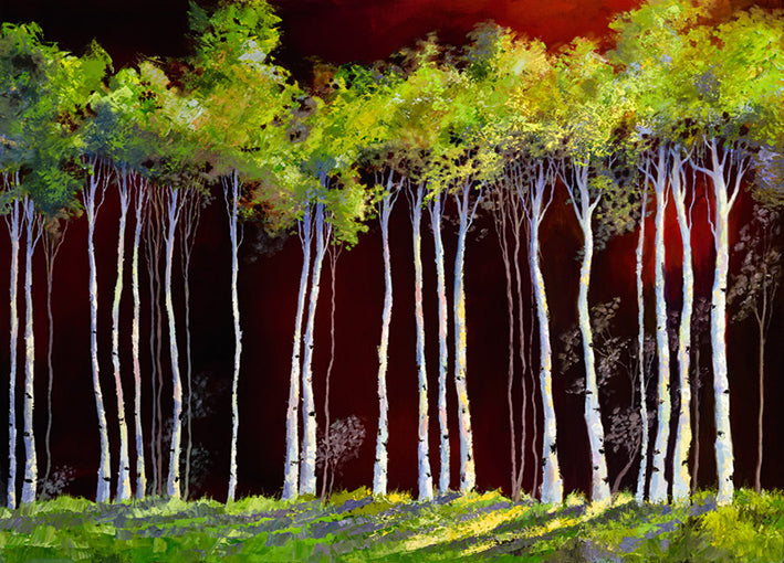 92934 Birch Trees on Red, by Darius, available in multiple sizes