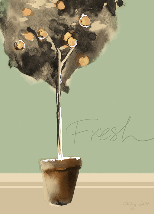 82062 Fresh, by David, available in multiple sizes - Chamton